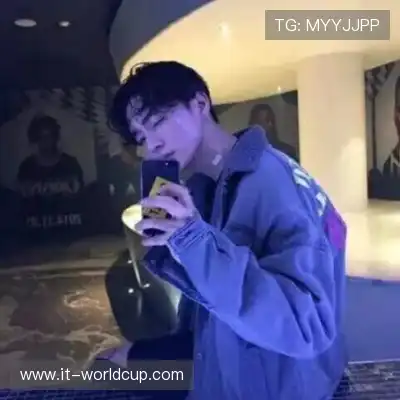 万桢翼
